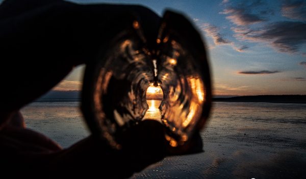 Sunset Cefin Sidan Through the Looking Shell